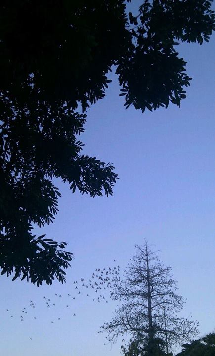 524307_10151075127398361_609380656_n