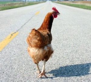 iStock_000000908146XSmall copy