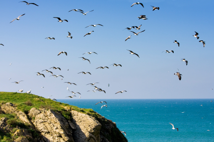 iStock_000009752291XSmall