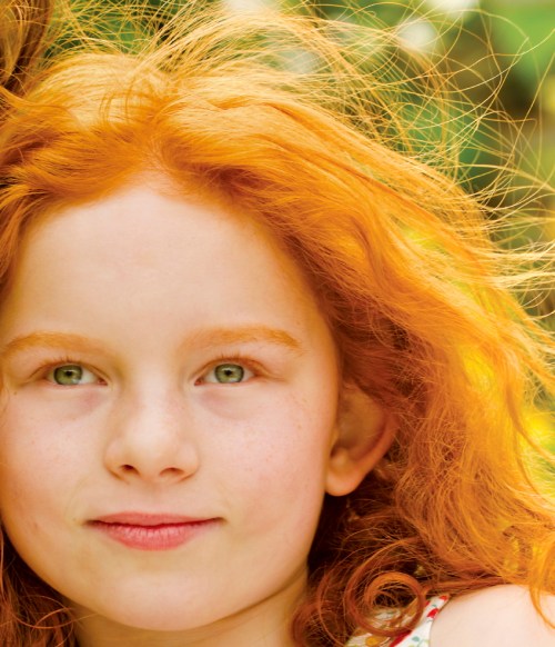 iStock_000020753706_Medium