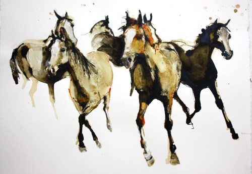 All the bright horses (ink on paper)