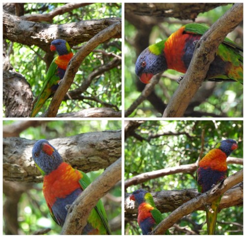 picisto-20150307090735-592204