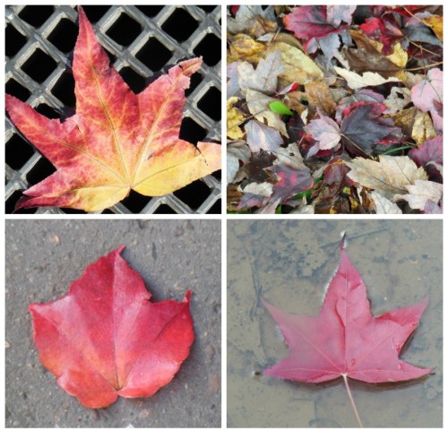 picisto-20150405214741-893466