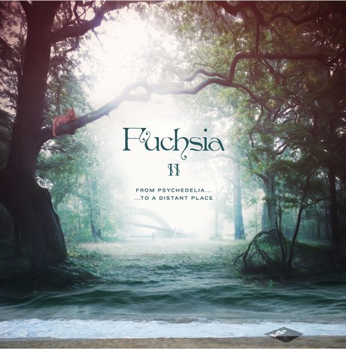 Fuchsia II: From Psychedelia to a Distant Place (2013)