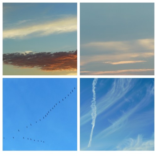 picisto-20150903103029-468761(1)