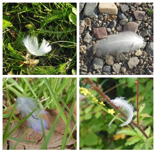 picisto-20150926092433-405906