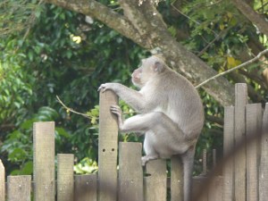 This guy had nothing to say.