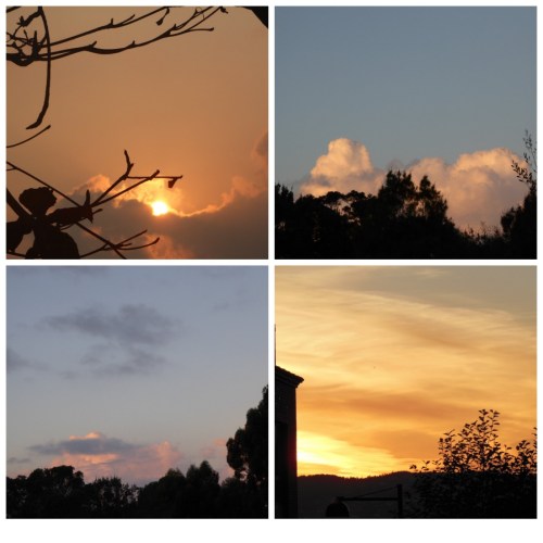 picisto-20151109094604-335002