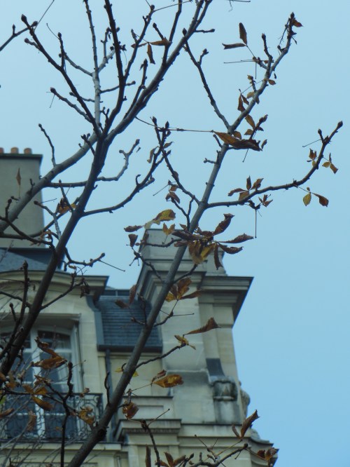 DSCN2384 around monmattan