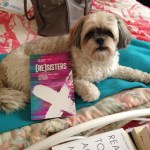 iphone-july-2016-086