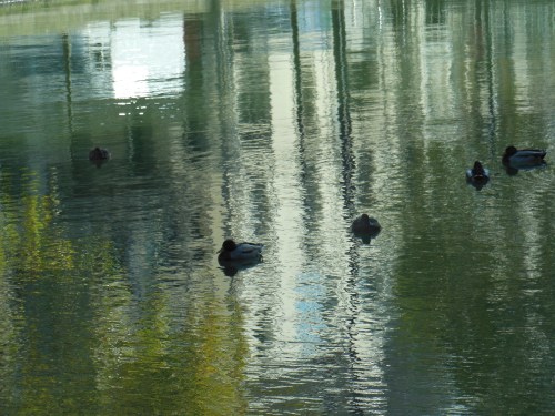 DSCN1767 canal st martin